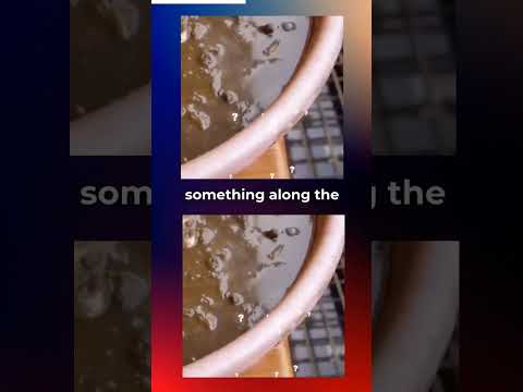 Unveiling the Fascinating Origins of Ketchup! History Behind Everyone's Favorite Condiment! #facts