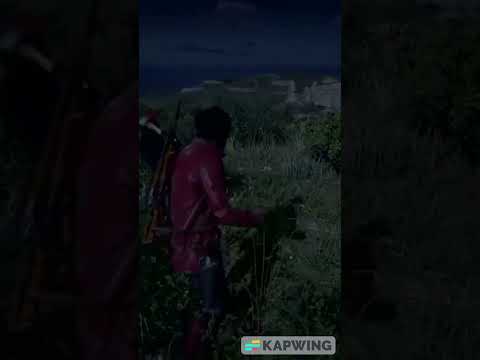 Two Dumb Birds 1 Right Hook Again Lmao