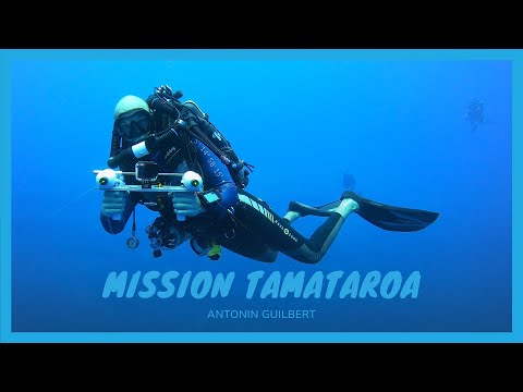 Les Plongeurs Padawan and Gombessa Expeditions