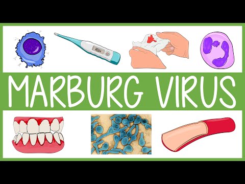 Marburg Virus in 3 Minutes