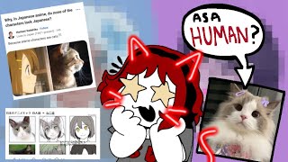 WHAT THE HECK IS ‘CAT FACE THEORY?.. (and why is it so adorable?!) || (commentary + speedpaint)