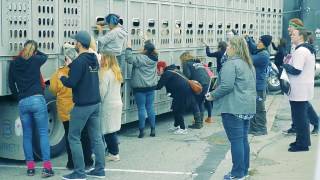 Moby &amp; The Void Pacific Choir - A Simple Love [Official Video]