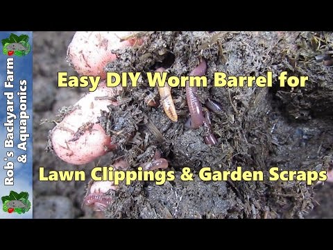 How to make a worm farm.. Easy as worm barrel for lawn clippings & garden scraps..