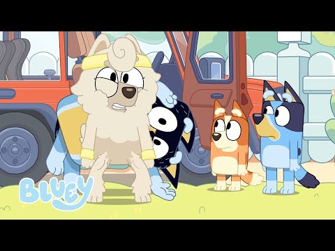 Capa de Wendy Levanta Bandit! 😆 💪 💙 | Bluey Série 3 - Transformação | Bluey Português Brasil Canal Oficial