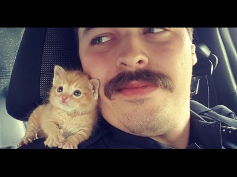 Kitten Given New Home by Mustached Cop