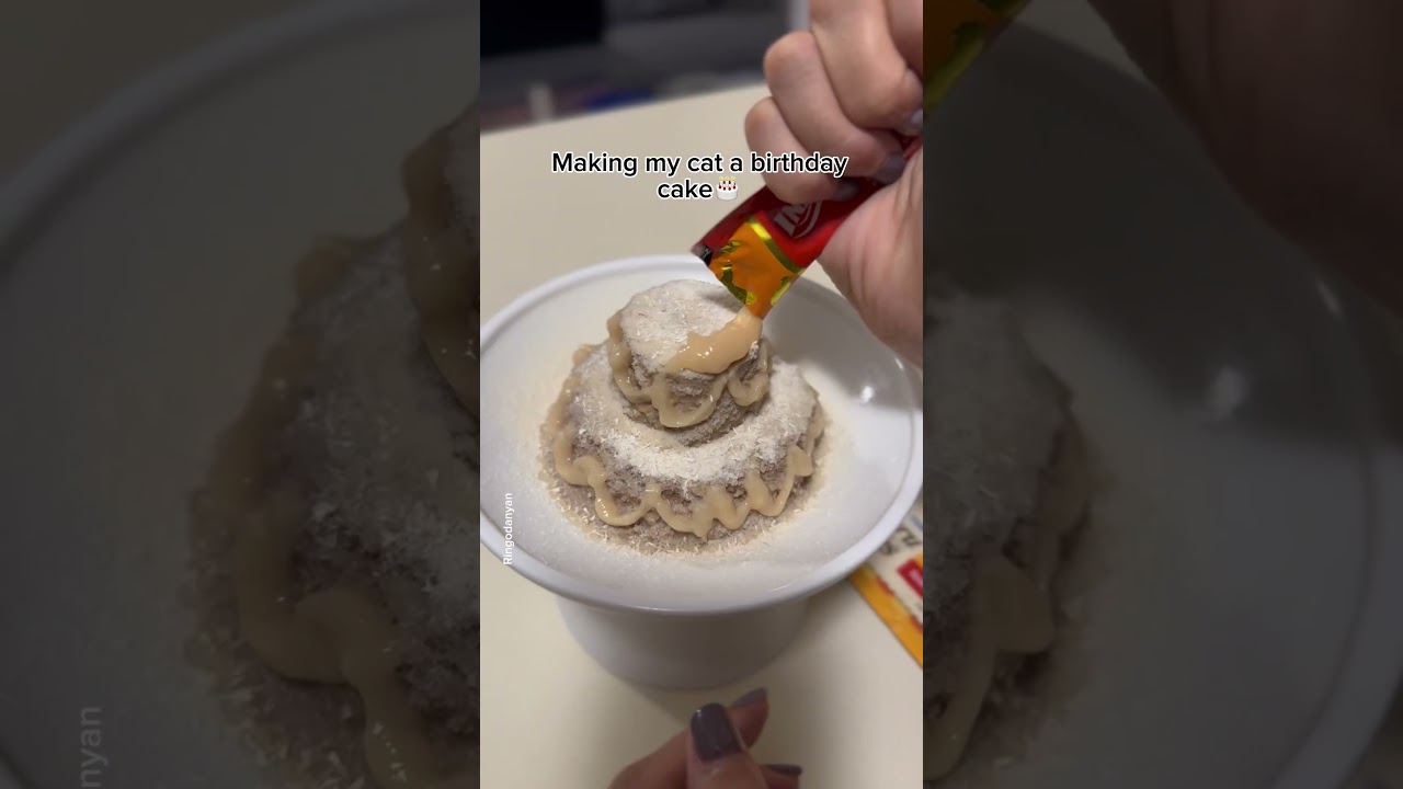 Making my cat a birthday cake #shorts #cute #cat