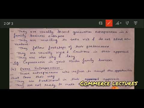 types of entrepreneurs and intrapreneurship innovative imitative fabian drone entrepreneurs