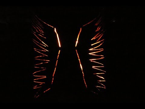 Official Modifyre Aftermovie - Tom van de Barth