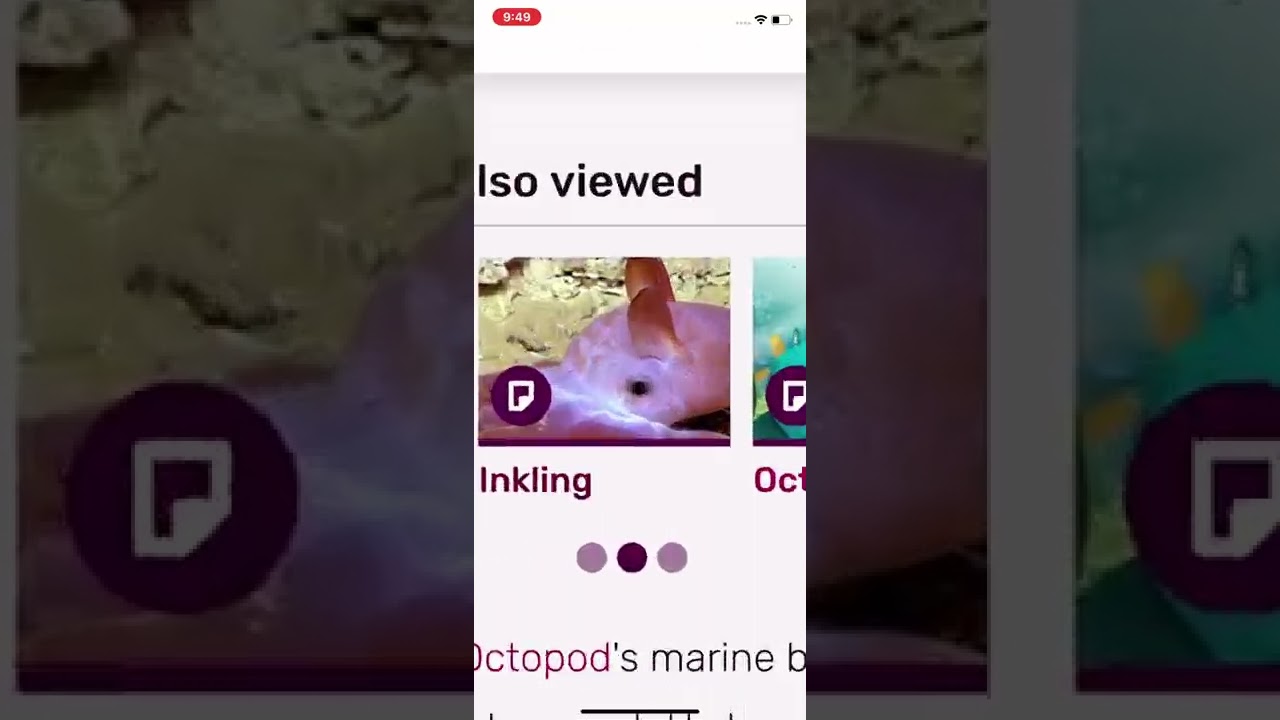 Inklings picture on the fandom wiki