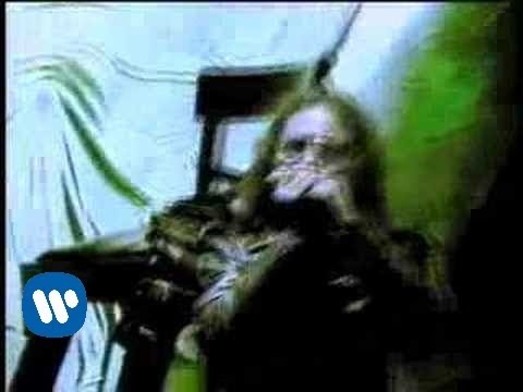 El Tri - Chilango incomprendido  (Video Oficial)