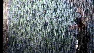 The Four Seasons - Tell It To The Rain