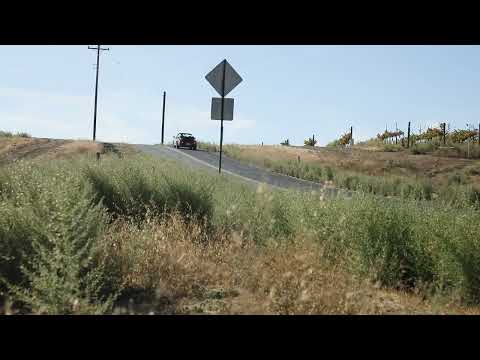 1985 Porsche 911 (CC-1919202) for sale in Pleasanton, California