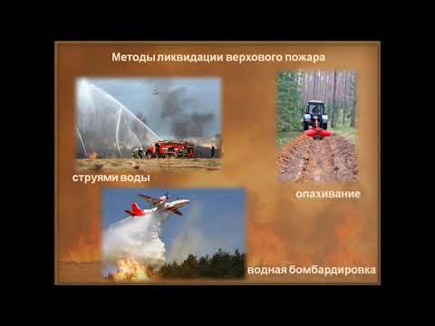 Видеоурок "Лесные пожары. Противопожарная безопасность"