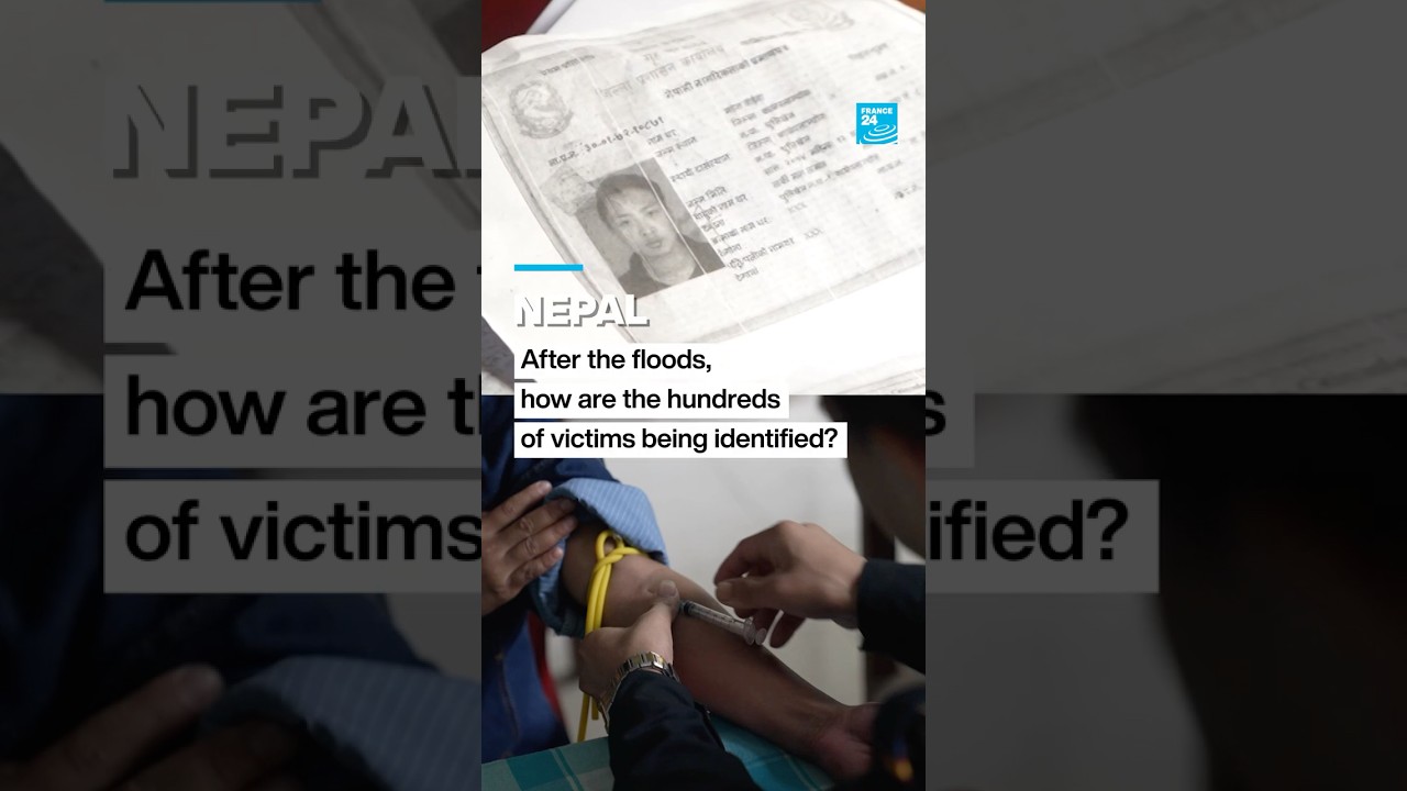 Nepal: How are the hundreds of victims from the floods being identified? • FRANCE 24 English