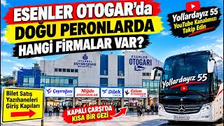 Esenler Otogarı Doğu Peronlarında Hangi Firmalar Var? 👀🚌