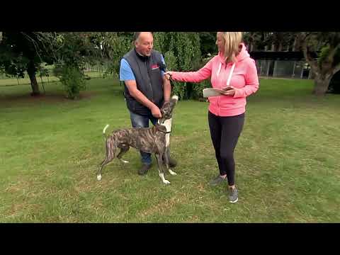 2022 DERBY - PATRICK JANSSENS ON LAUTARO