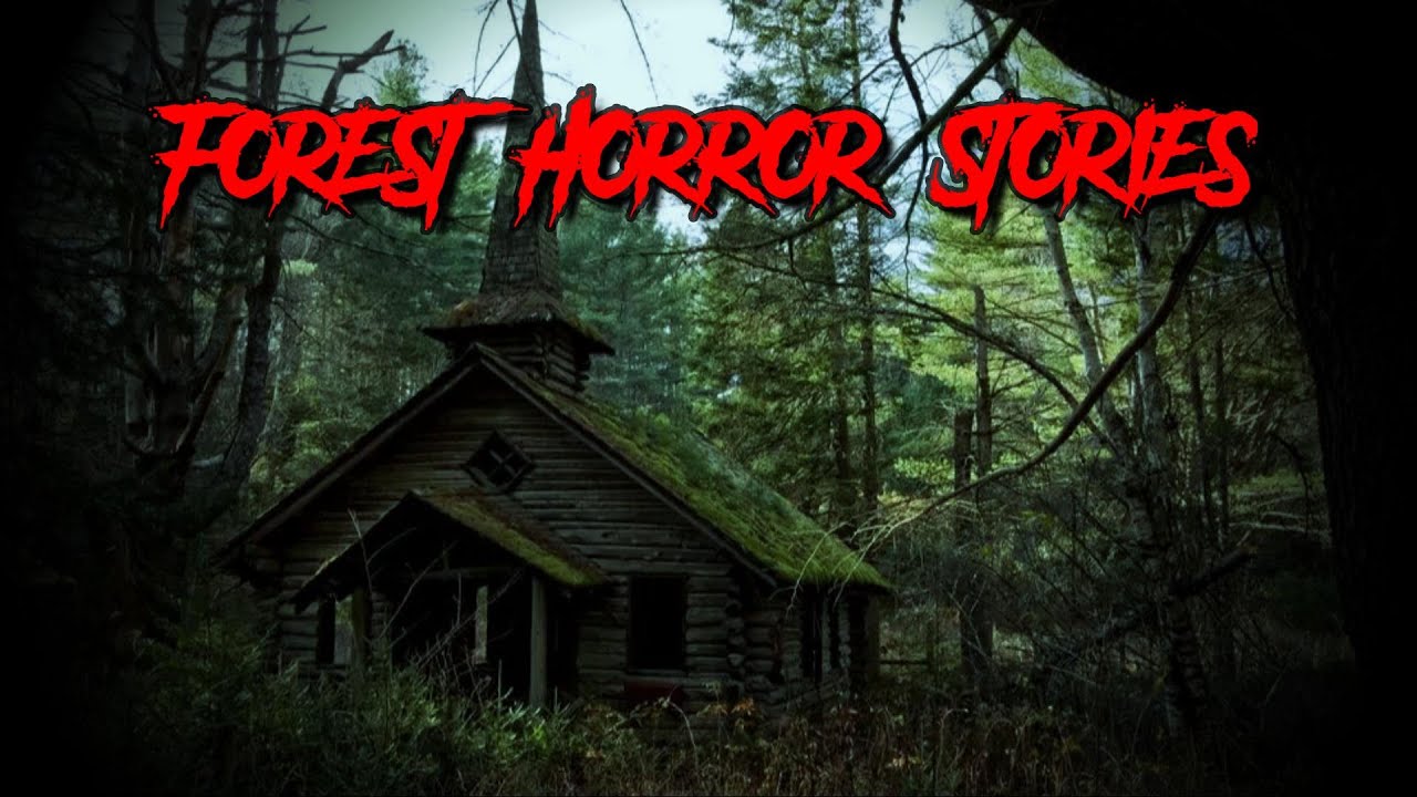 (3) Creepy FOREST Horror Stories [Cult Encounter & MORE!]