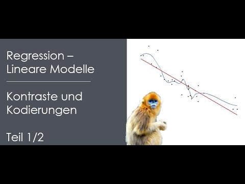 Referenzkodierung, Dummykodierung und Kontraste in R verstehen | Kontraste und Kodierungen Teil 1/2