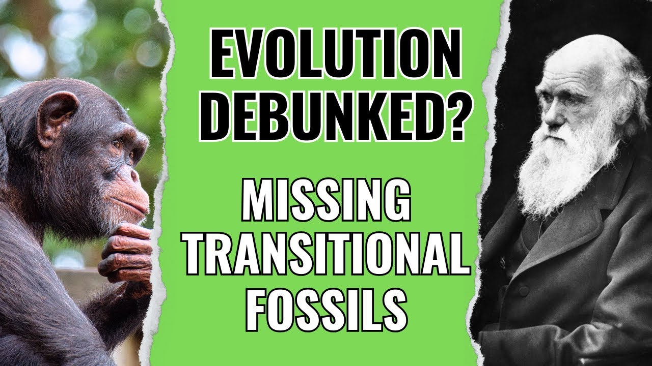 Evolution's Missing Link: The Lack of Transitional Fossils