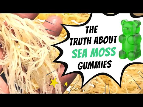 1st YouTube video about are sea moss gummies effective