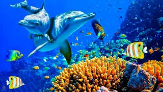 Relaxing Music to Relieve Stress, Anxiety and Depression • Mind, Body 🐬 Soothing music for nerves