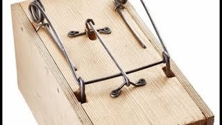 Комплект для изготовления 5 ящичных ловушек