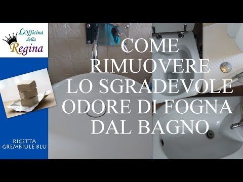 Crusca e potenza Miele ginseng per la potenza