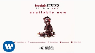 Kodak Black - Too Many Years (feat. PNB Rock) [Official Audio]
