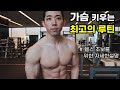 [가슴운동루틴] 헬스 초보자 가슴 만드는 6가지 운동! 자세 방법 노하우 | 운동자극 | Chest workout
