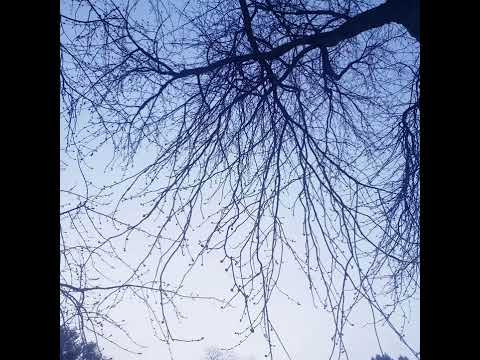 Sucker for pain hoodtrap remix