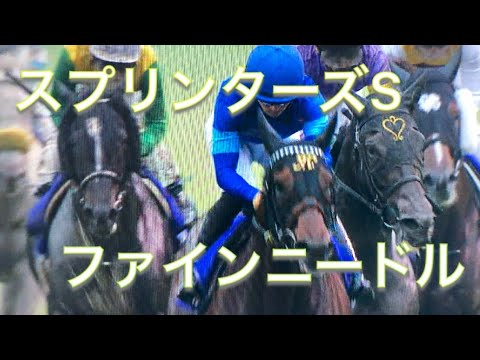スプリンターズS 2018 ファインニードル レース現地映像