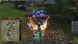 DDO - Wizard r10 Solo: Wild Thing (all optionals)