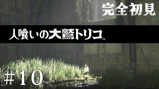 【初見プレイ】目が覚めたら大きなワシがいた Part.10【人喰いの大鷲トリコ/ネタバレ注意】