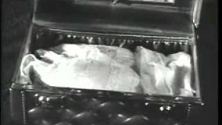 Lady Dada's Nightmare (Music Video) - MGMT