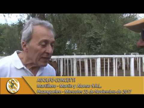 22-11-17 Nota Adolfo Concetti - Martin y Alonso S.R.L. - Huanguelen.