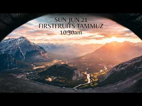Firstfruits Tammuz