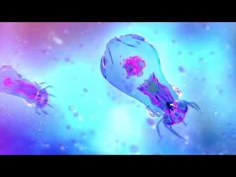 Esdobe & Demiurg - "Znieczulony"