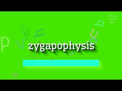 ZYGAPOPHYSIS - HOW TO PRONOUNCE ZYGAPOPHYSIS? #zygapophysis