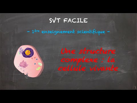 SVT FACILE - 1ère ens. sci. - Une structure complexe : la cellule vivante