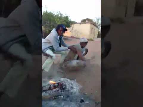 video trending pa zed