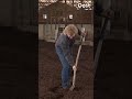 Boer Pieter heeft een bijzonder bedding (met pieren) voor zijn koeien | RTV Oost