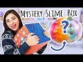Making Aesthetic Slimes From A Mystery Box | #ElmersWhatIf