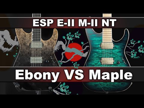 ESP E-II M-II NT Black Turquoise Burst Bare Knuckle image 13