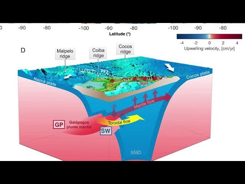 Panama, scoperto un 'passaggio segreto' sottomarino che porta alle Galapagos