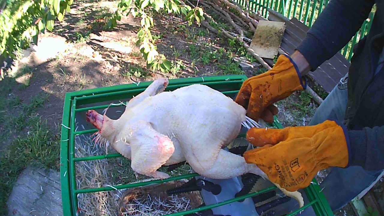 Ощип бройлера за 50 секунд на ПМ