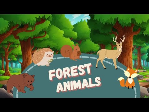 Forest Animals. Animal Shadow Detectives! Guess the Animal! A Fun Learning Game