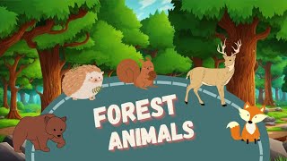 Forest Animals. Animal Shadow Detectives! Guess the Animal! A Fun Learning Game