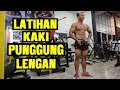 Latihan otot Kaki, Punggung, Lengan bersamaan di tempat fitness / Otan GJ