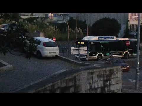 STCP new buses — 3361 - 800