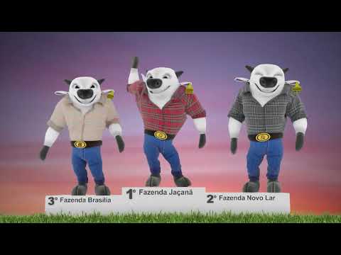 ETAPA DE MOZARLÂNDIA (GO) TEM 6,5 MIL CARCAÇAS EM DISPUTA; VEJA VENCEDORES